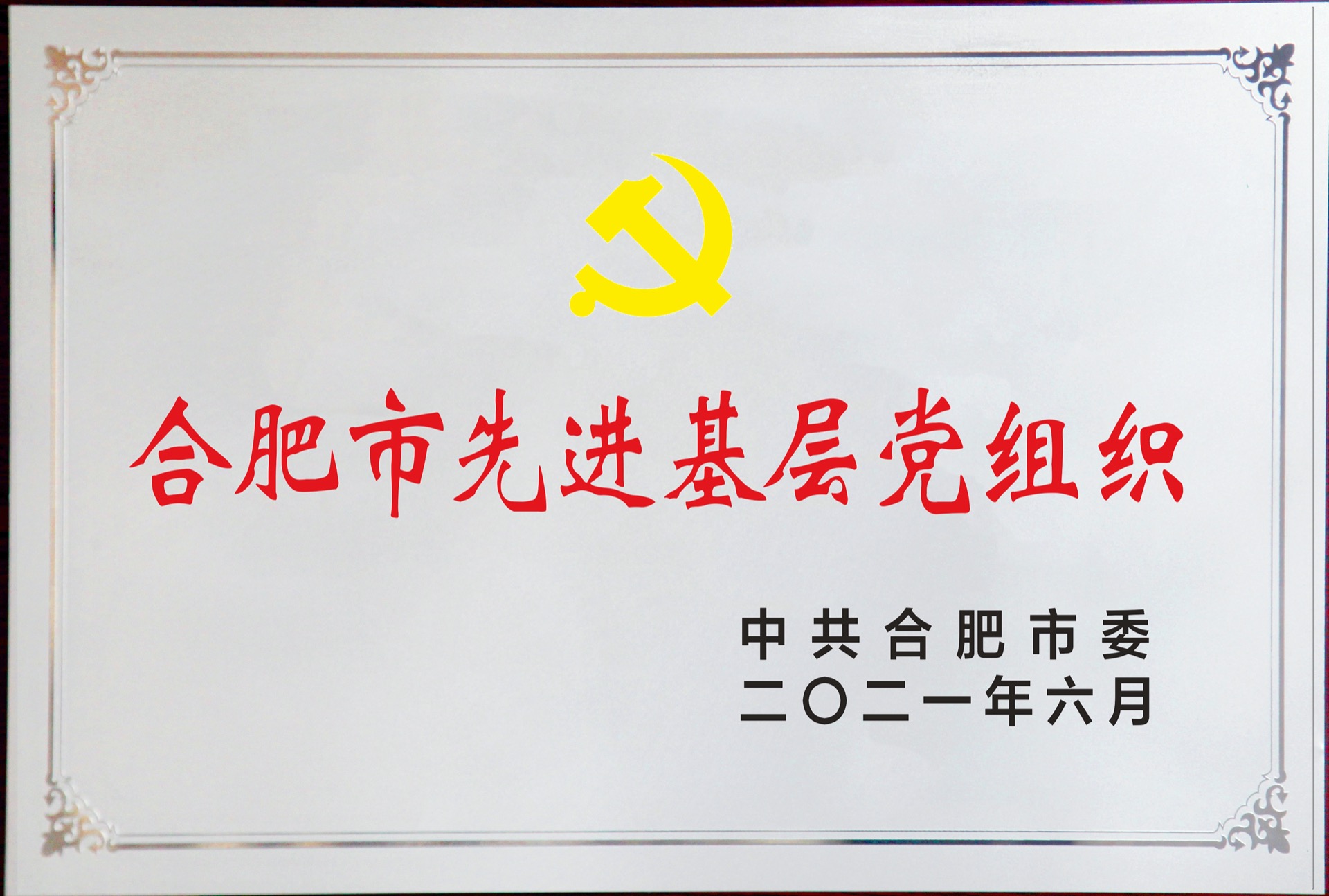 合肥市先进基层党组织