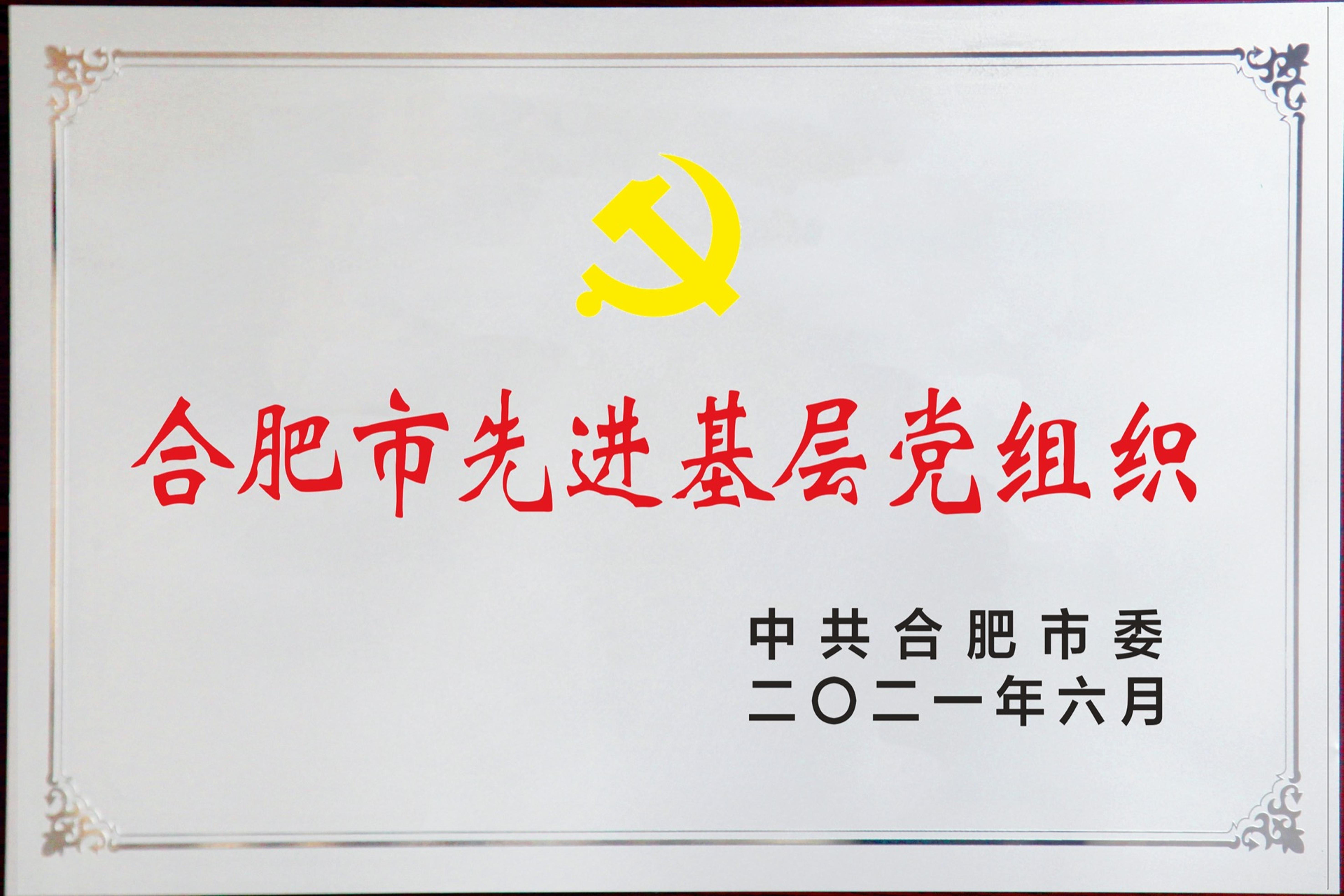 合肥市先进基层党组织